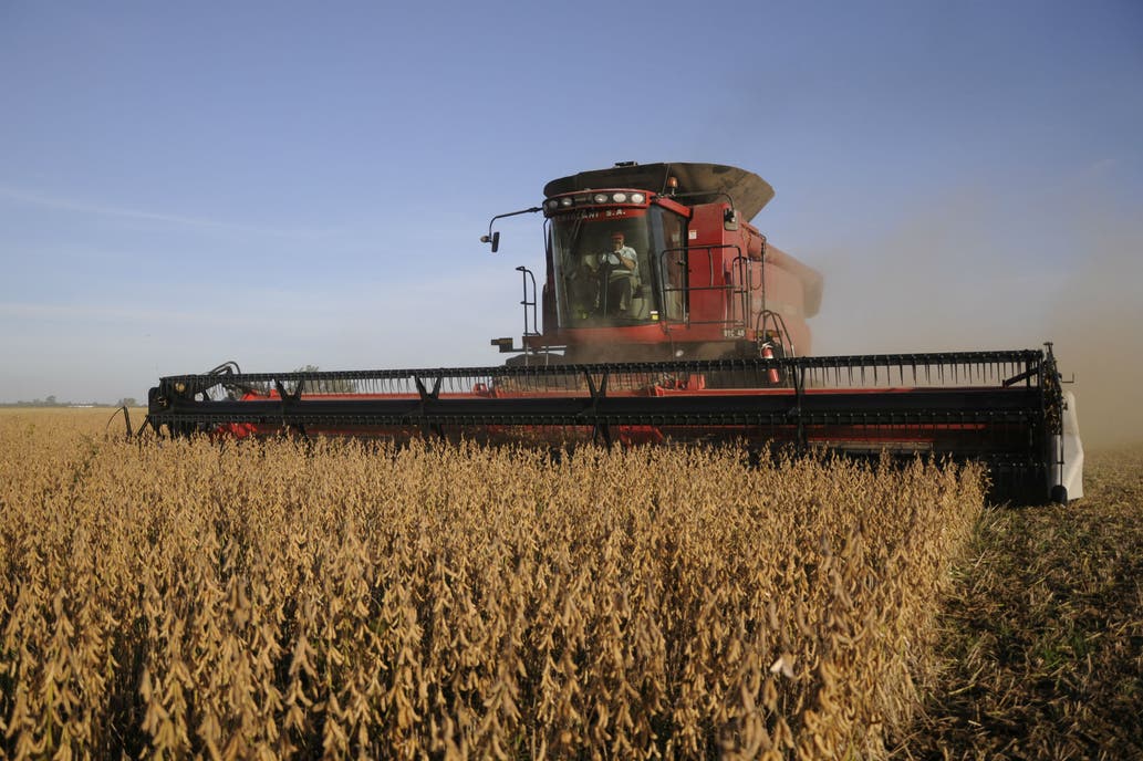 A punto de finalizar, la cosecha de soja marca un rinde nacional récord